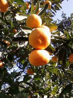 2013110102.jpg