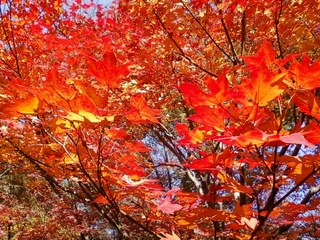 2013112806.jpg