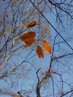 2013121103.jpg