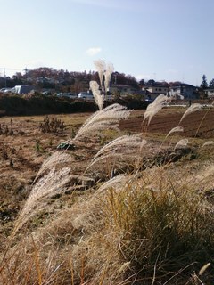 2013121110.jpg