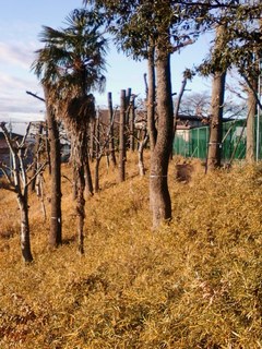 2014010402.jpg