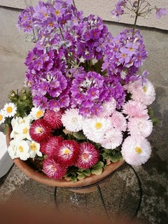 2014032204.jpg