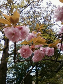 画像-0036.jpg
