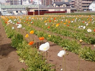 画像-0049.jpg