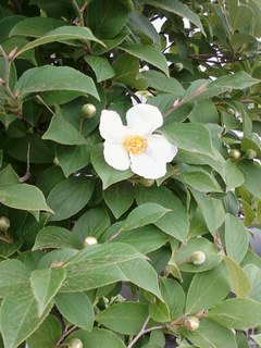 画像-0146.jpg