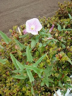 画像-0149.jpg