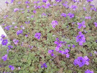画像-0194.jpg