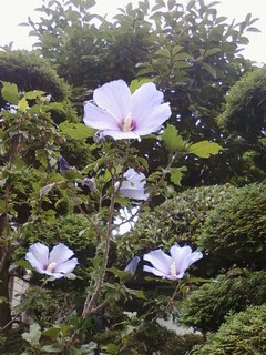 画像-0202.jpg