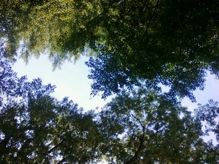 画像-0211.jpg