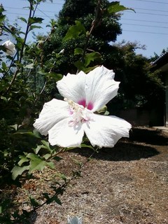 画像-0218.jpg