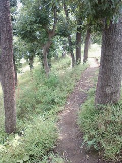 画像-0233.jpg