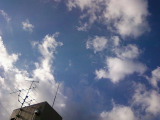 画像-0249.jpg