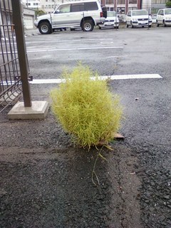 画像-0326.jpg