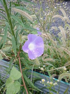 画像-0335.jpg