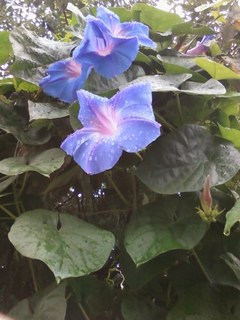 画像-0345.jpg