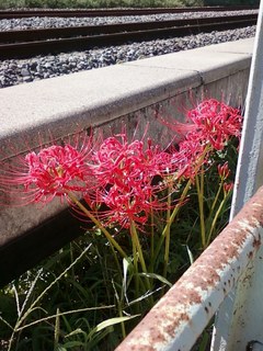 画像-0362.jpg