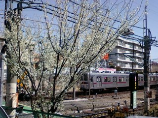 画像-1241.jpg