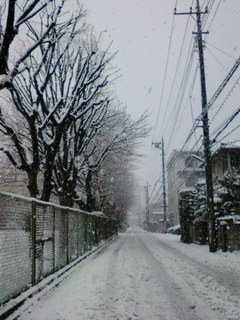 雪道20130114.jpg